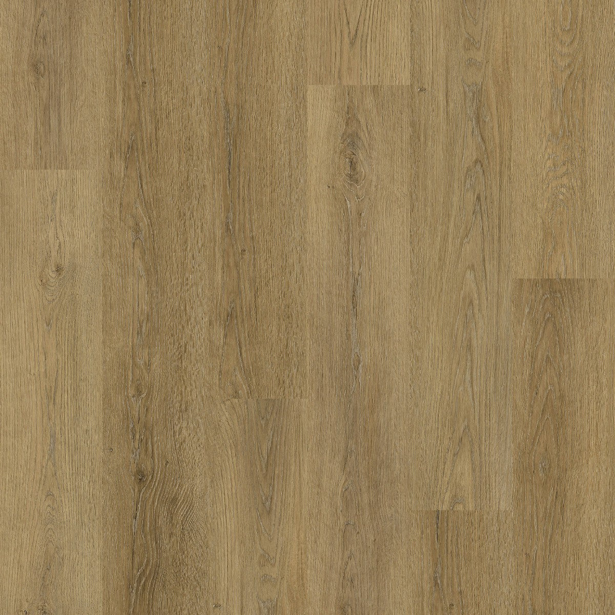 Close-up of a wooden floor with a natural finish