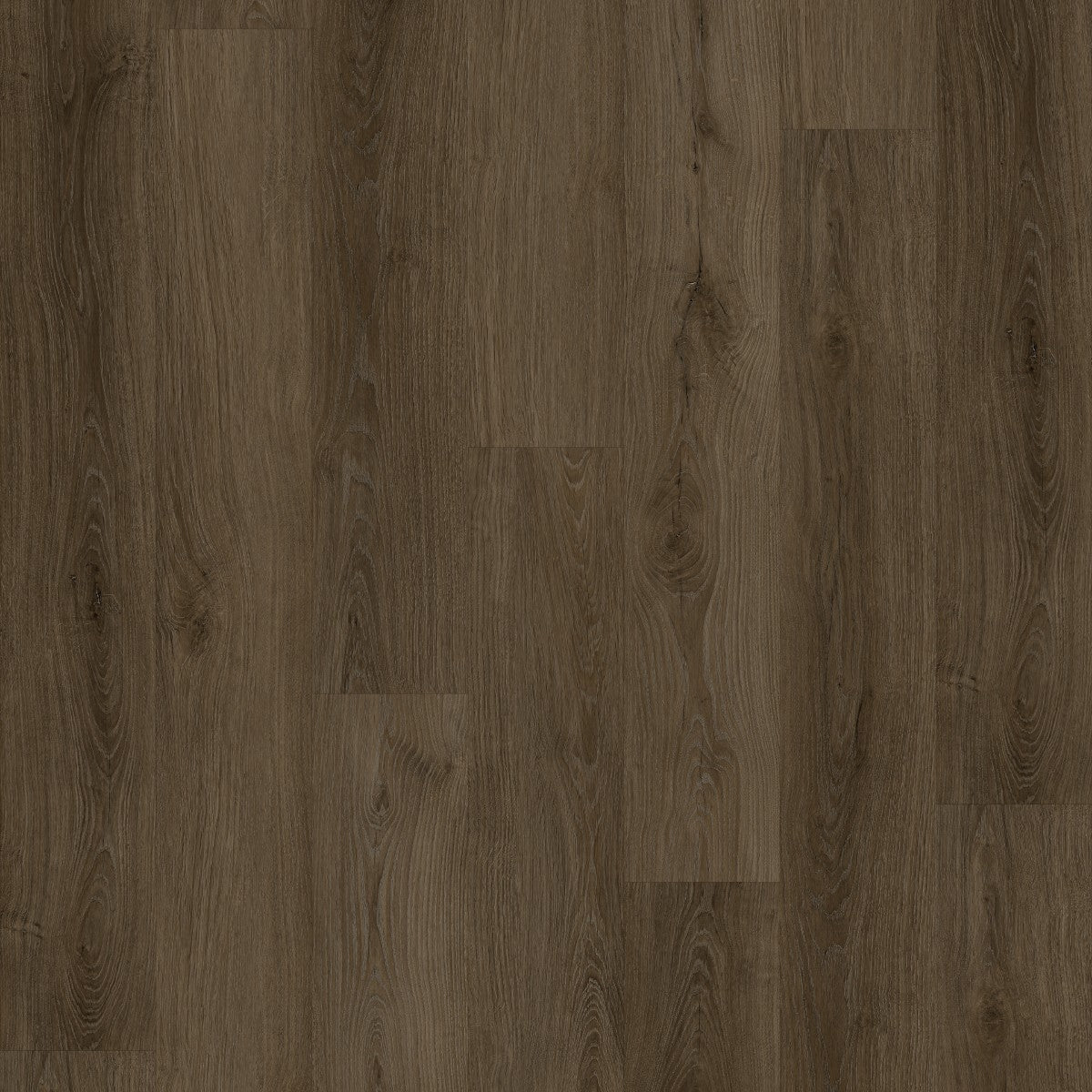 Close-up of a brown wood grain pattern