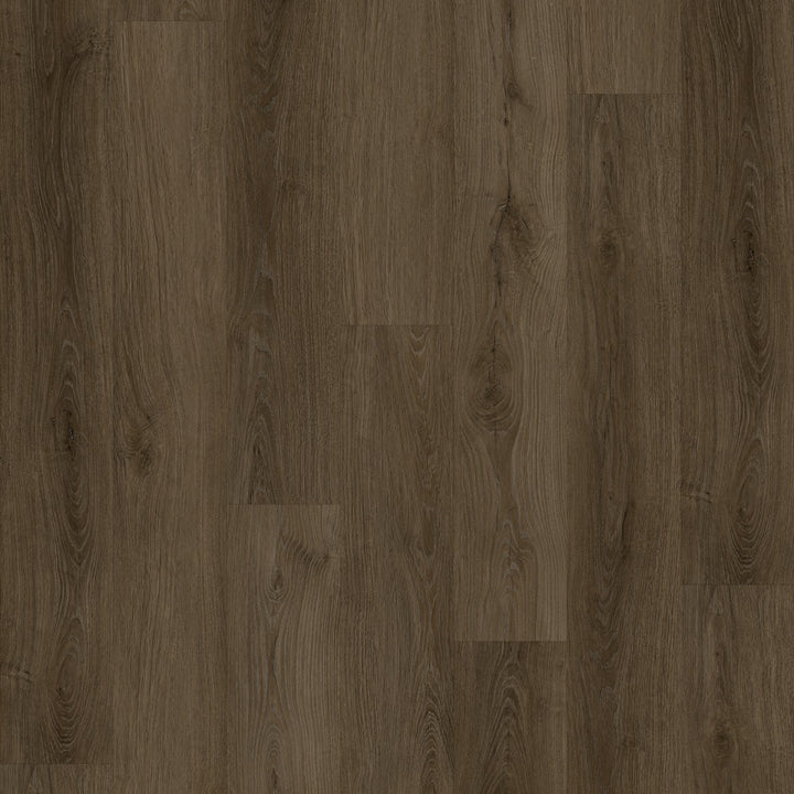 Close-up of a brown wood grain pattern
