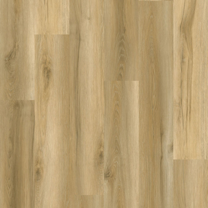 Close-up of a wooden floor with a natural finish
