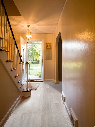 Pinctada Fuzion engineered oak hardwood flooring from Outer Banks Elite collection installed in a modern room, featuring wide 6" x 3/4" planks, 3mm veneer layer. Canada-wide delivery available. 