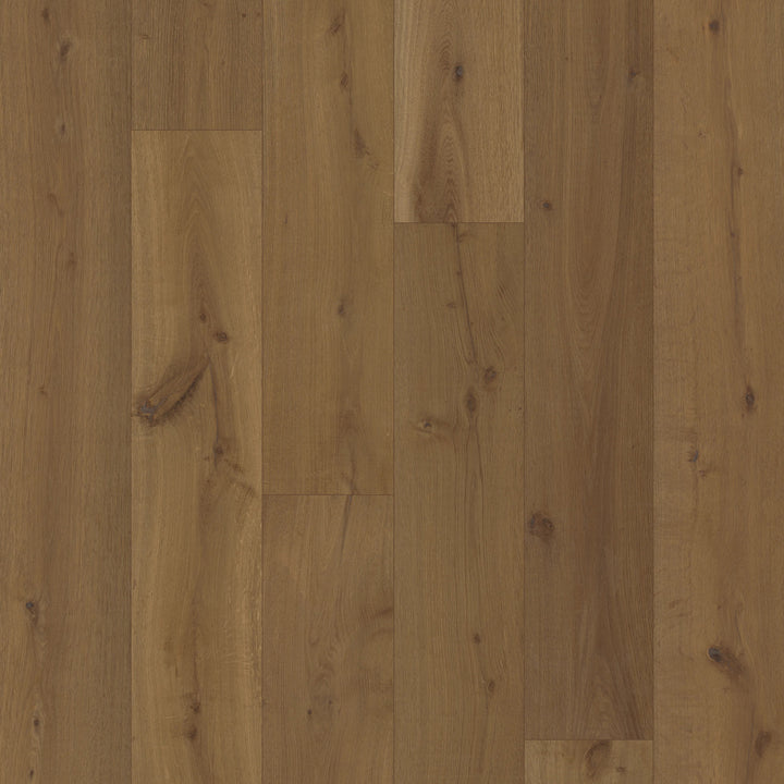 Close-up of a Rustic Echo by Fuzion TruNorth engineered hardwood flooring featuring wide planks and a durable 3mm top layer.