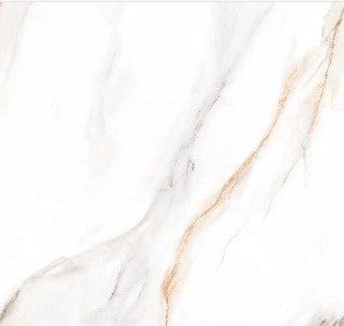 ABL CERAMICA Continuum 24x48 polished look porcelain tile