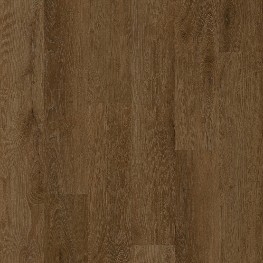 Avolis Avoflex 5.0 Serene Oak glue-down luxury vinyl plank close-up