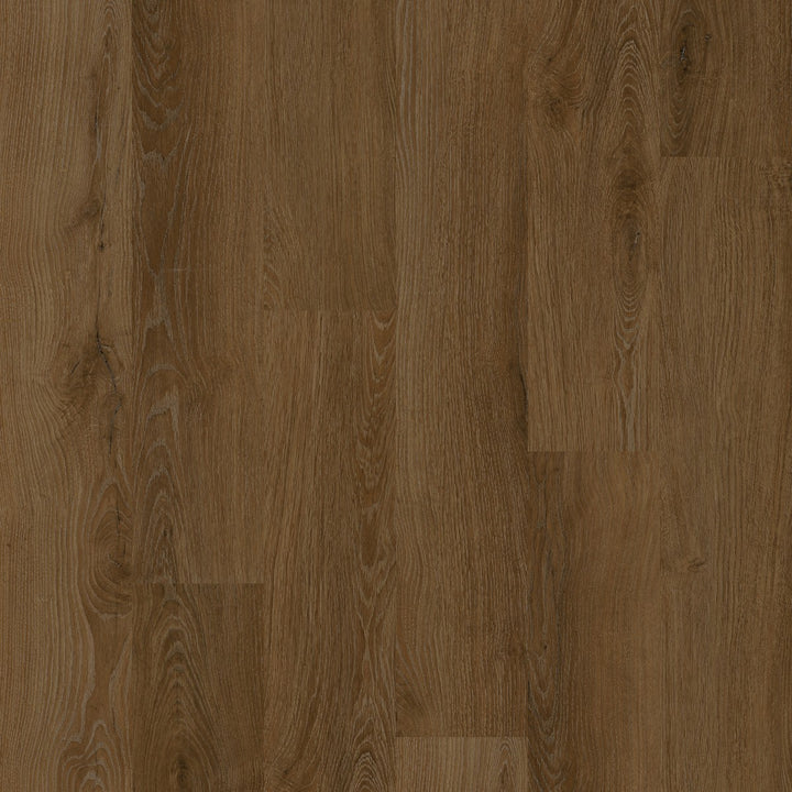 Avolis Avoflex 5.0 Serene Oak glue-down luxury vinyl plank close-up
