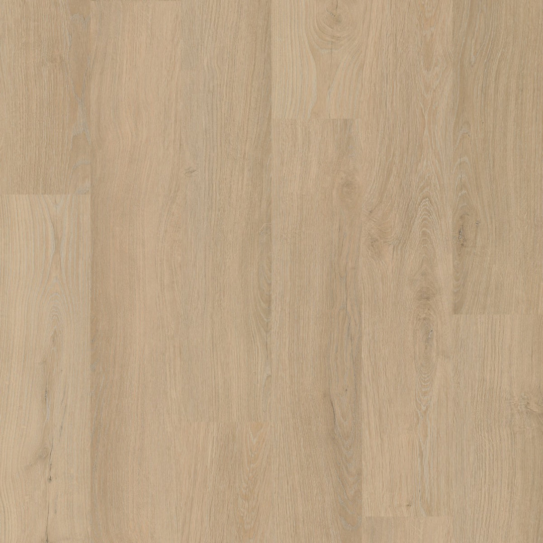 Avolis Avoflex 5.0 Serenity Oak glue-down luxury vinyl plank close-up