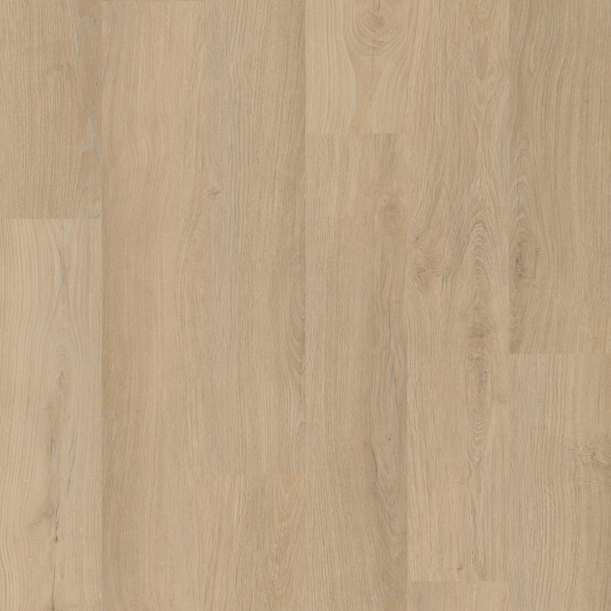 Avolis Avoflex 5.0 Serenity Oak glue-down luxury vinyl plank close-up