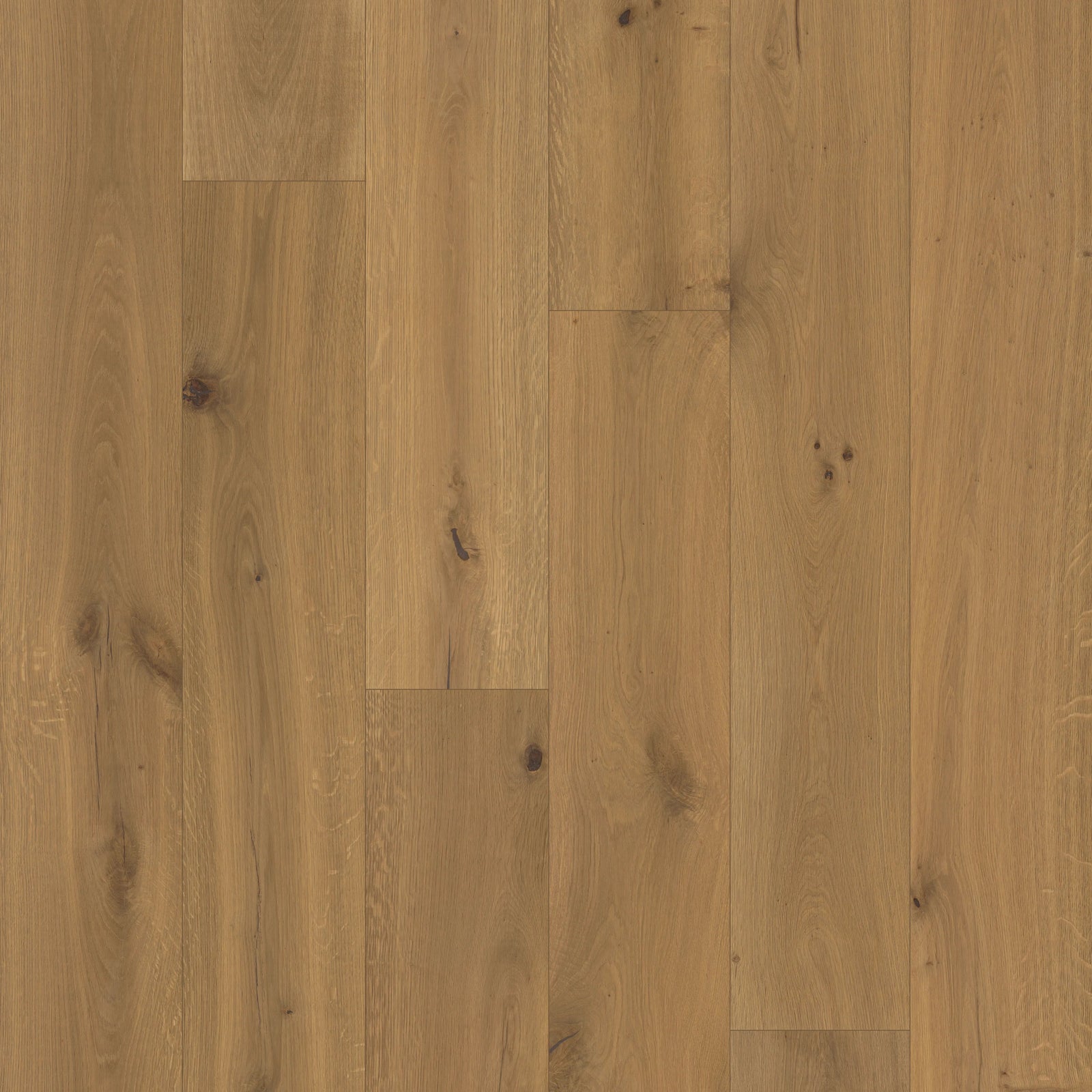 Close-up of a Shadow Glen by Fuzion TruNorth engineered hardwood flooring featuring wide planks and a durable 3mm top layer.