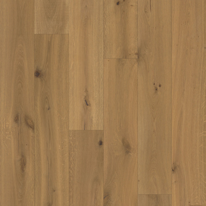 Close-up of a Shadow Glen by Fuzion TruNorth engineered hardwood flooring featuring wide planks and a durable 3mm top layer.