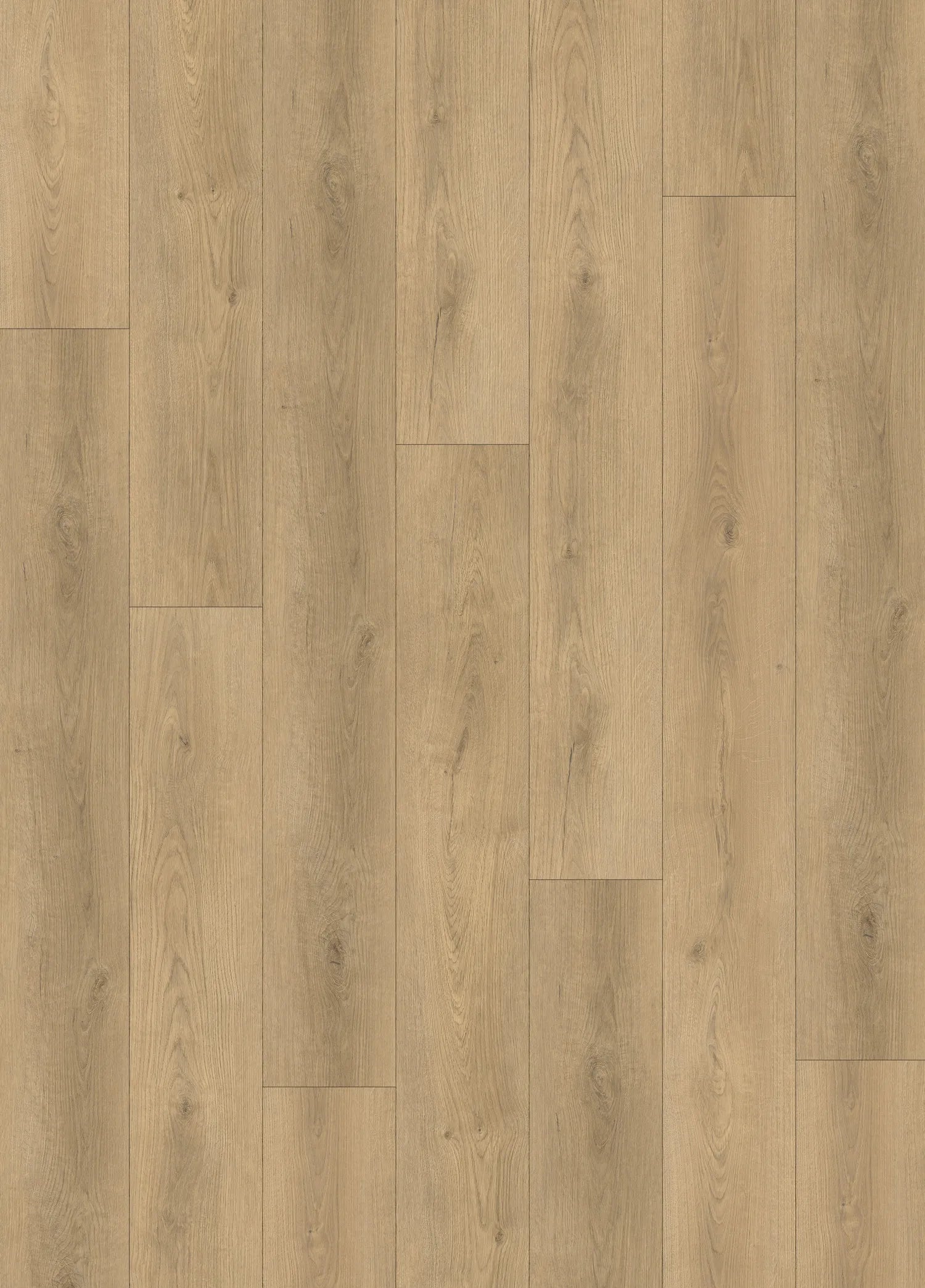 Close-up of SORA EV411015 WPC 9MM vinyl plank showing wood texture and matte finish. Canada-wide delivery available. 
