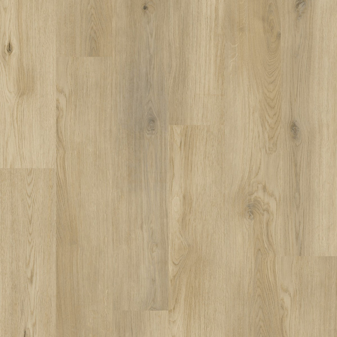 Avolis Avoflex 5.0 Sunrise Oak glue-down luxury vinyl plank close-up