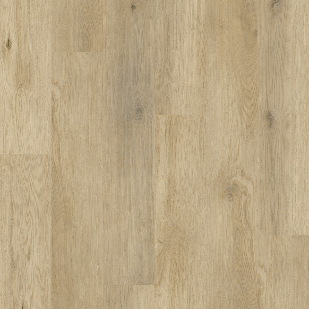 Avolis Avoflex 5.0 Sunrise Oak glue-down luxury vinyl plank close-up
