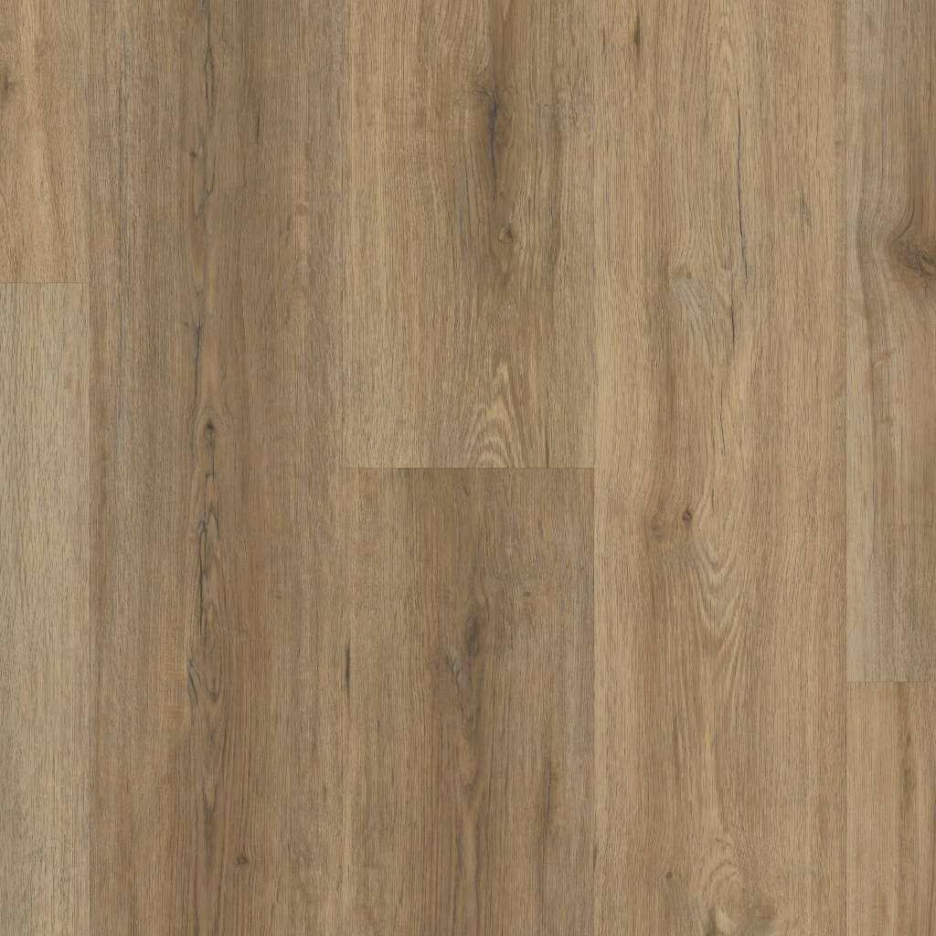 Wild Dunes - Shaw Vinyl 4.8mm Endura Plus 0736V - advancedflooring
