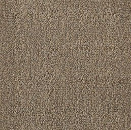 Aladdin Broadloom Commercial Carpet - Influencer 30 - advancedflooring