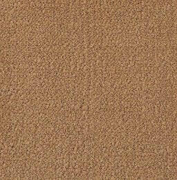 Aladdin Broadloom Commercial Carpet - Influencer 42 - advancedflooring