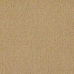 Aladdin Broadloom Commercial Carpet - Influencer 42 - advancedflooring