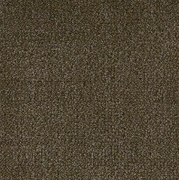 Aladdin Broadloom Commercial Carpet - Influencer 42 - advancedflooring
