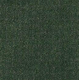 Aladdin Broadloom Commercial Carpet - Influencer 42 - advancedflooring