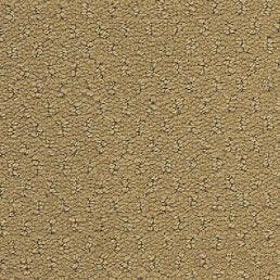 Aladdin Broadloom Commercial Carpet - Influencer 42 - advancedflooring