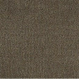 Aladdin Broadloom Commercial Carpet - Influencer 42 - advancedflooring