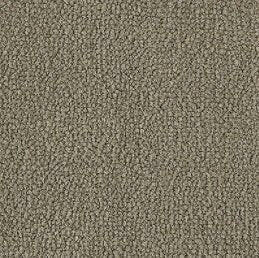 Aladdin Broadloom Commercial Carpet - Influencer 42 - advancedflooring