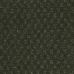 Aladdin Broadloom Commercial Carpet - Influencer 42 - advancedflooring