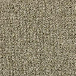 Aladdin Broadloom Commercial Carpet - Influencer 42 - advancedflooring