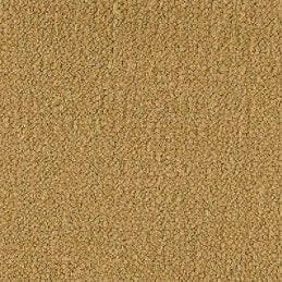 Aladdin Broadloom Commercial Carpet - Influencer 42 - advancedflooring