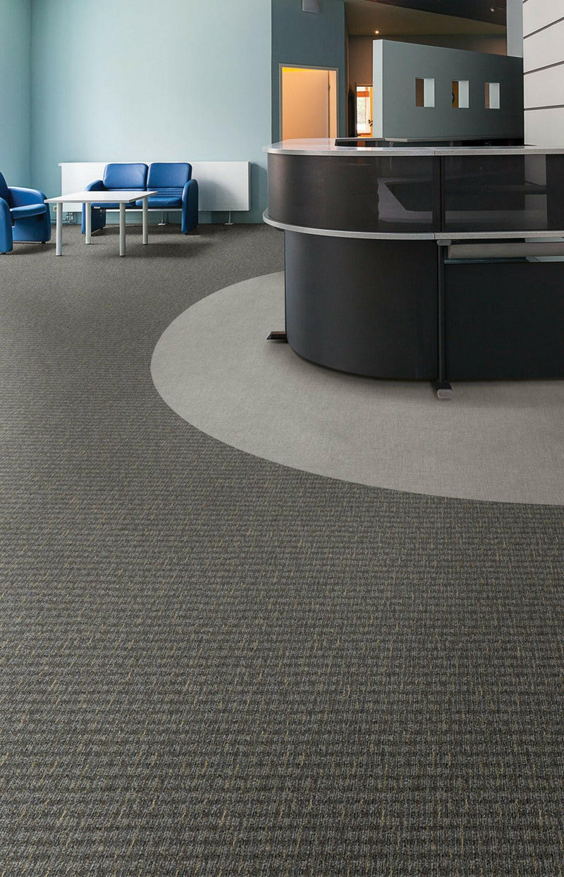Aladdin Broadloom Commercial Carpet - Inspiring Moment - advancedflooring