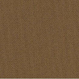 Aladdin Carpet Tile - Color Pop 12x36 - advancedflooring