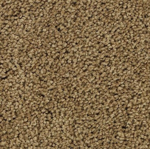 Mohawk 3C19 Soft Outlook Carpet - advancedflooring