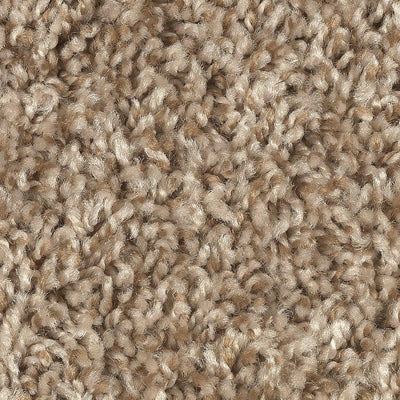 Mohawk Achiever 2E47 Carpet - advancedflooring