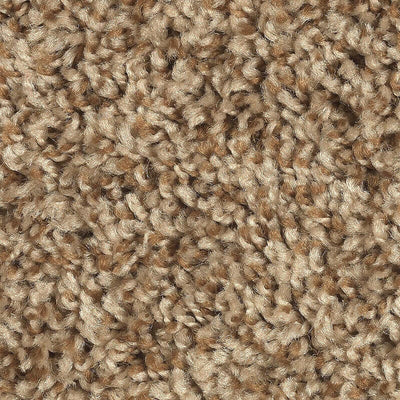 Mohawk Achiever 2E47 Carpet - advancedflooring