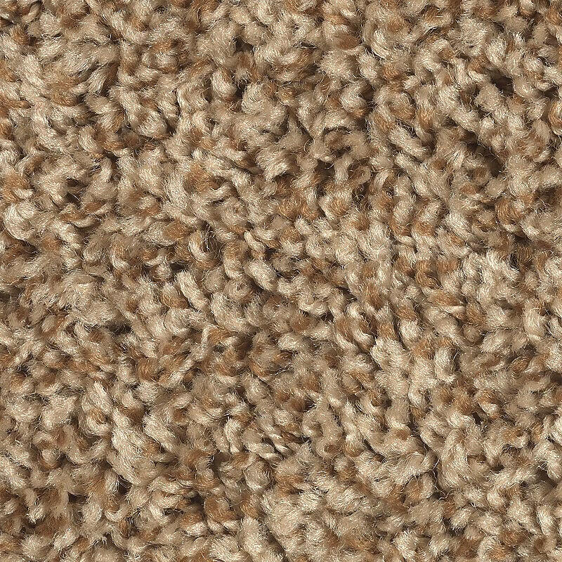 Mohawk Achiever 2E47 Carpet - advancedflooring