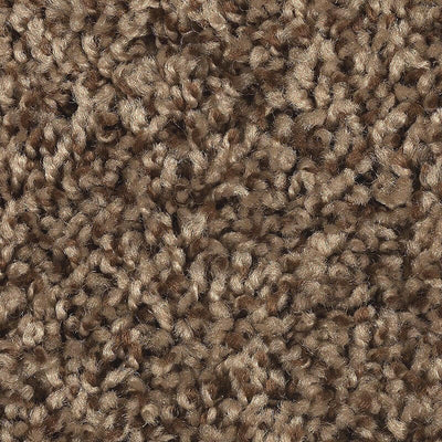 Mohawk Achiever 2E47 Carpet - advancedflooring