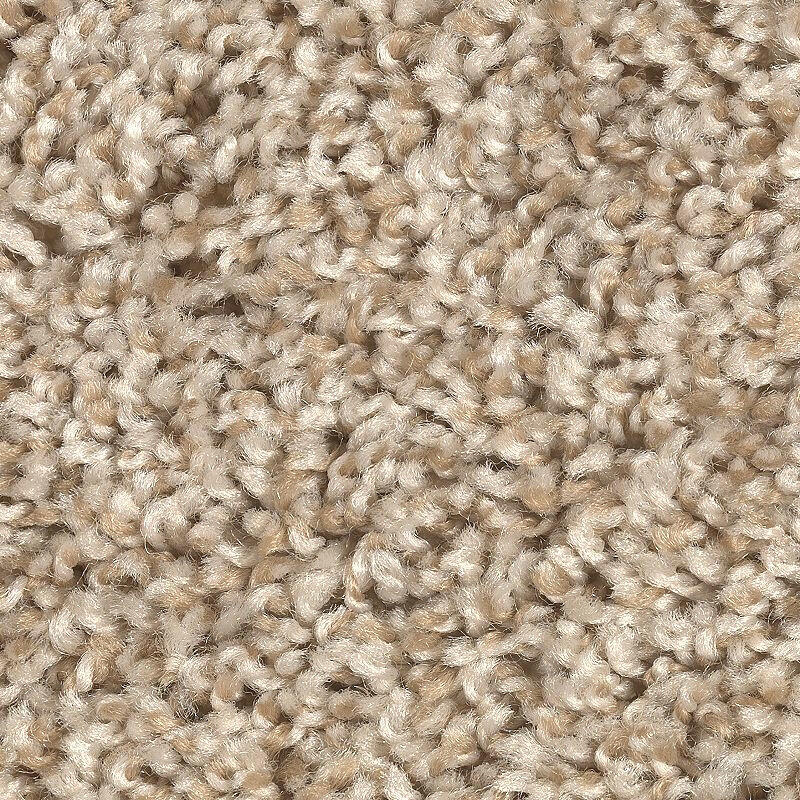 Mohawk Achiever 2E47 Carpet - advancedflooring