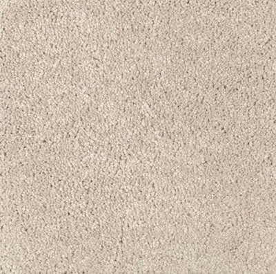 Mohawk Carpet Natural Splendor I 2N28 - advancedflooring