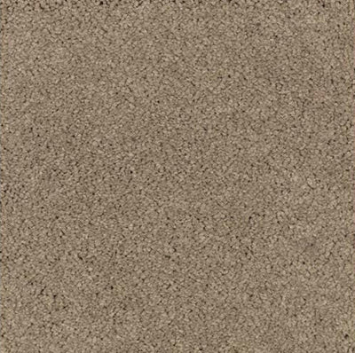 Mohawk Carpet Natural Splendor I 2N28 - advancedflooring