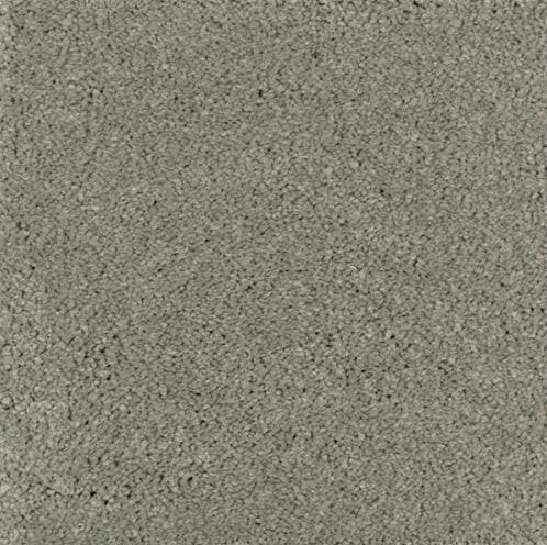 Mohawk Carpet Natural Splendor I 2N28 - advancedflooring