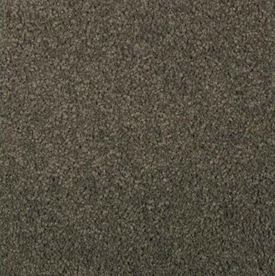 Mohawk Carpet Natural Splendor I 2N28 - advancedflooring