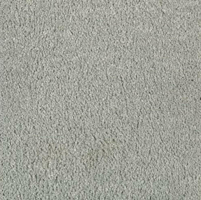 Mohawk Carpet Natural Splendor I 2N28 - advancedflooring
