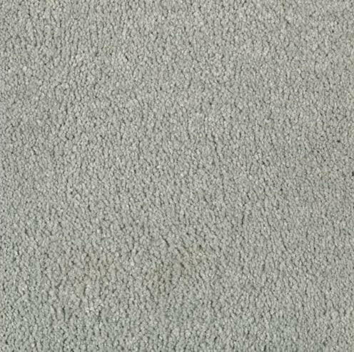 Mohawk Carpet Natural Splendor I 2N28 - advancedflooring