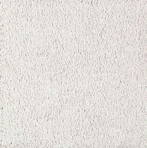 Mohawk Carpet Natural Splendor I 2N28 - advancedflooring
