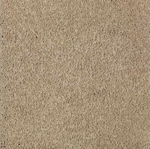 Mohawk Carpet Natural Splendor I 2N28 - advancedflooring