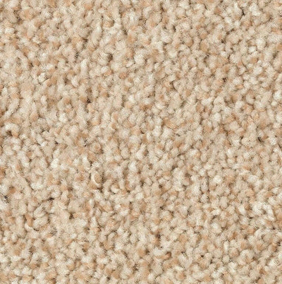 Mohawk Carpet Tonal Chic II 2N81 - advancedflooring
