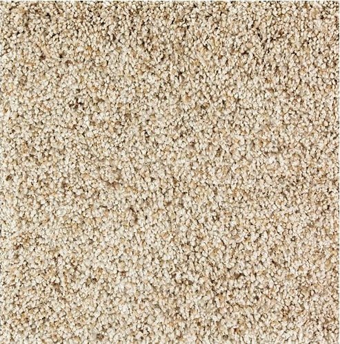 Mohawk Exquisite Appeal 2S28 Carpet - advancedflooring