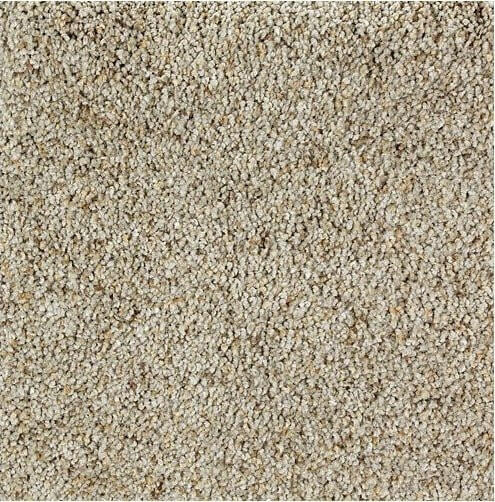 Mohawk Exquisite Appeal 2S28 Carpet - advancedflooring