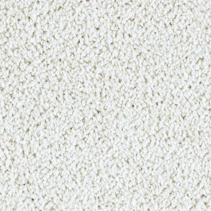 Mohawk Exquisite Attraction 2S13 Carpet - advancedflooring