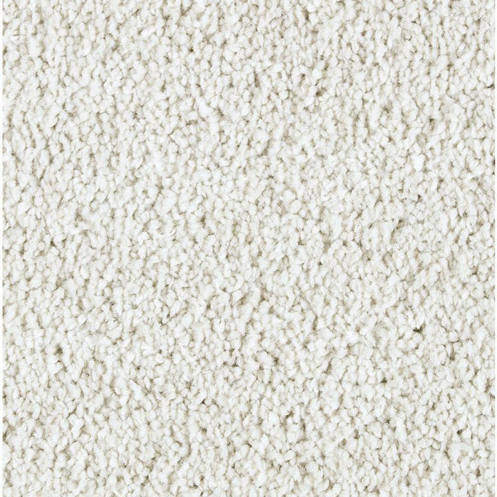 Mohawk Exquisite Attraction 2S13 Carpet - advancedflooring
