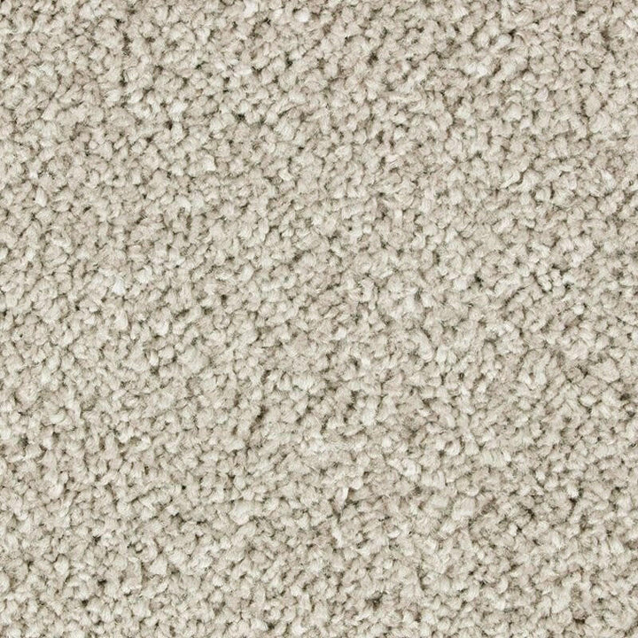 Mohawk Exquisite Attraction 2S13 Carpet - advancedflooring